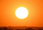 Bay Area Extreme Heat Watch Brings 90s by Mother's Day