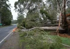 Bureau of Meteorology Issues Thunderstorm Warning for 20 Tasmania Towns