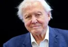 Attenborough Replies to Edward Over Dinosaur Error in 1980s Cork — David Attenborough Children