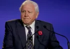 David Attenborough replies to Edward over dinosaur error in Cork — David Attenborough For Kids