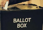 Sanne Dijkstra-downie projected to win Edinburgh Northern on 33%