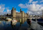 Six candidates set for Gwynedd Maldwyn Senedd race