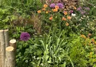 Ian McBain wins best in show at Rhs Malvern Spring Festival