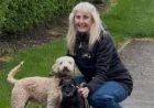 Leicester Family Rehomes 250 Poodle Cross Dogs Rescued Winston