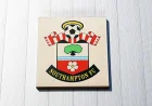 Southampton Charged Over Alleged Spying Before Middlesbrough Tie