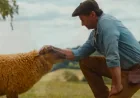 The Sheep Detectives Opens in Theaters With Hugh Jackman Murder Mystery Twist