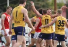 Eagles Hold Sanfl Edge Before Glenelg Round 6 Clash