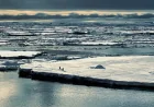 University of Southampton Study Explains 2023 Antarctic Sea Ice Low