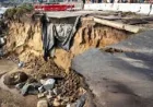 Goldfinger Says Cascadia Quake Could Trigger San Andreas Fault