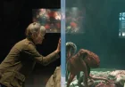 Sally Field Leads Remarkably Bright Creatures for Netflix