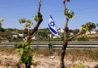 Israeli Settlers Force Palestine Family to Rebury Hussein Asasa