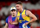 Harry Edwards Forced Off After Elliot Yeo Elbow Clash