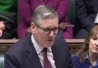 Starmer Granted a Stay of Execution After Election Backlash — The Observer