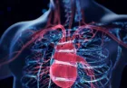 Dagfinn Aune Links 170g Legumes to Lower Blood Pressure Risk