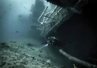 Mission Beach Wreck Alley Yukon draws divers to 366-foot reef