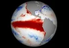 WMO says El Nino may reach record strength — Weather Forecast Today