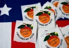 FBI Seizes 656 Boxes in Fulton County United States Midterm Election Fight