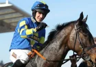 Auroras Encore Dies at 23 After 2013 Grand National Win — The Grand National