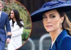 Kate Middleton Ends Reunion Hope in Prince Harry Royal Reunion