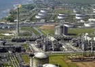 500 Million Barrels Drawn as Oil Price Supply Shortages Deepen