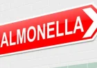 Belgian committee examines Salmonella rule changes — Food Safety News