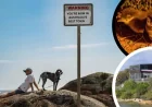 Bicheno tops Australia’s best town list, Bowral appears in rankings