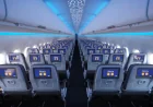 JetBlue Cites Bird Strike After Flight 882 Delay in Saint Lucia