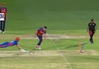 Tristan Stubbs meets HPCA Stadium as 160-run first innings loom