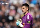 Karl Darlow Wins April Save of the Month Against Wolves