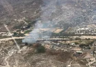 Arizona Department of Forestry and Fire Management Orders Evacuation in Wickenburg Fire