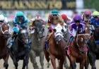 Taj Mahal draws rail, opens at 5-1 for Preakness 2026 Horses