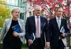 Albanese Plans 2026 Federal Budget Tax Changes for Investors