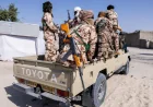 More than 40 Nigeria fishermen feared dead after Chad air strikes