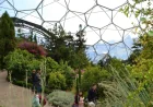 Tim Smit Marks Eden Project’s 25th Anniversary and 25 Million Visitors