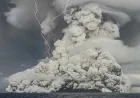 Volcano plume from Hunga Tonga tracked methane cleanup over 10 days
