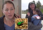 Fort Knox staff saves Antoinette Webb after beetle reaction — Antoinette Webb Fort Knox Story