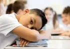 Centre for Policy Research on Men and Boys chairs Boys Falling Behind In School commission