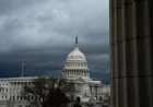 Gabe Amo pushes transparency as Tmz enters Congress