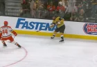 Tomas Hertl Ends 29-Game Drought in 4-3 Loss