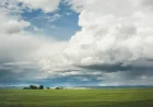 Weather Calgary: Alberta faces 70-90 km/h gusts Thursday afternoon
