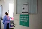 L’OMS juge faible le risque mondial de l’épidémie Hantavirus