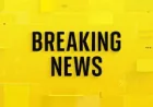 Jasveen Sangha Case Sends Erik Fleming to 2 Years in Los Angeles