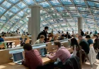 University Of Chicago Announces Free Tuition for Families Under $250,000