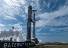 SpaceX Plans May 19 Spacex Starship Rocket Launch for Flight 12