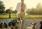 Alex Hassell Rejects Silly Diets for Rupert Role