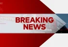 Taste of China crash leaves several injured near I-240, 9 Now