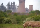 Keir Starmer Issues China British Steel Nationalization Warning Before Wednesday