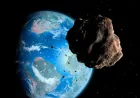 Gianluca Masi Plans Asteroids Flyby Broadcast for 56,000-Mile Approach
