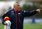 Mark Williams Hawthorn Aflw Role: Williams Takes New Development Post