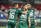 Botafogo Holds 1-0 Edge Into Chapecoense Vs Botafogo Return